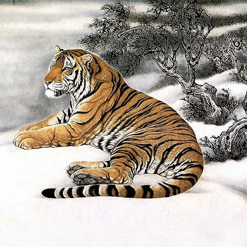 冬季雪地中的老虎