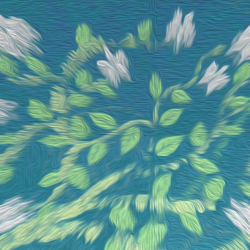 拉萨-纳木错-日喀则-林芝的树叶