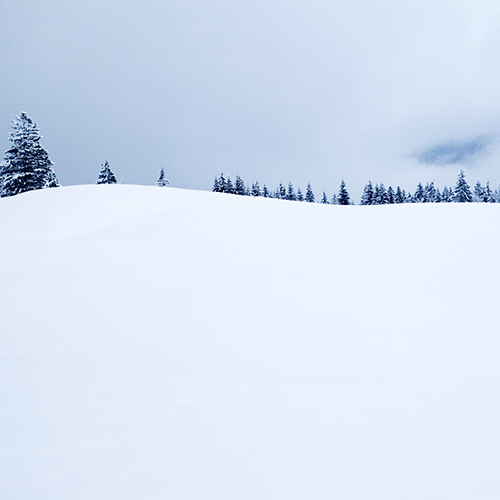 拉萨－纳木错－日喀则－珠峰雪地摄影